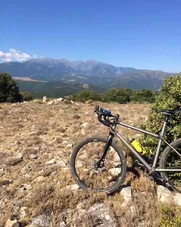 Le Des Milles Et Un Chemins * Castelnou