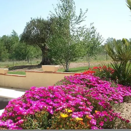 Apartment Le Des Milles Et Un Chemins Castelnou